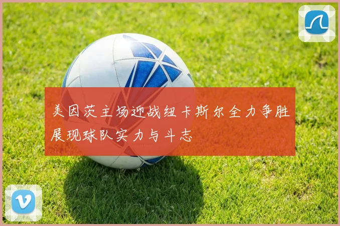 美因茨主场迎战纽卡斯尔全力争胜展现球队实力与斗志