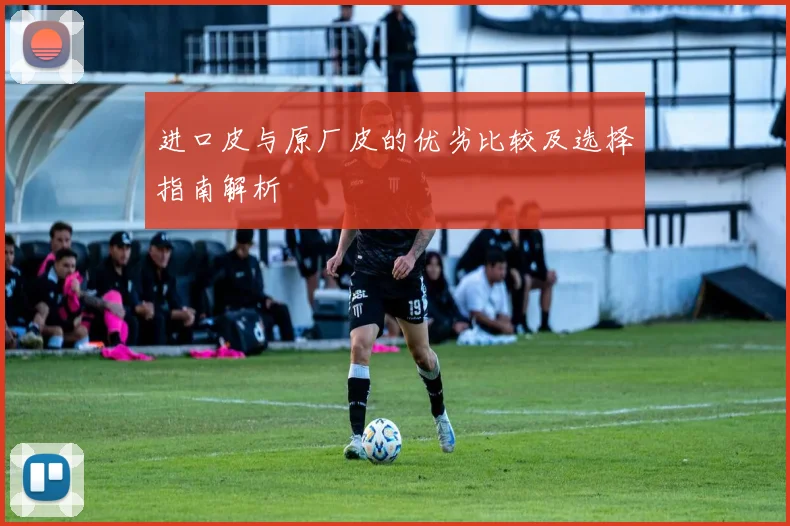 进口皮与原厂皮的优劣比较及选择指南解析