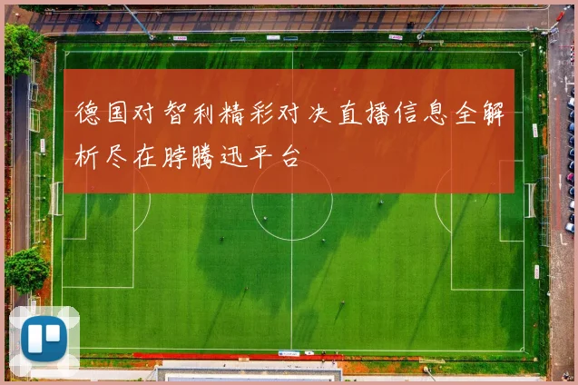 麦卡利斯特的传奇旅程与不凡成就揭示了体育界的无限可能性