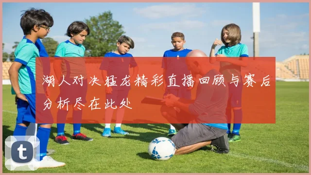 湖人对决猛龙精彩直播回顾与赛后分析尽在此处