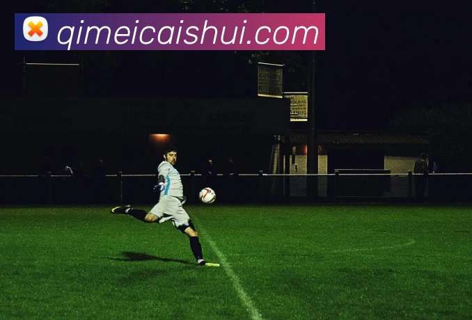 LEwin乐玩平台生态图