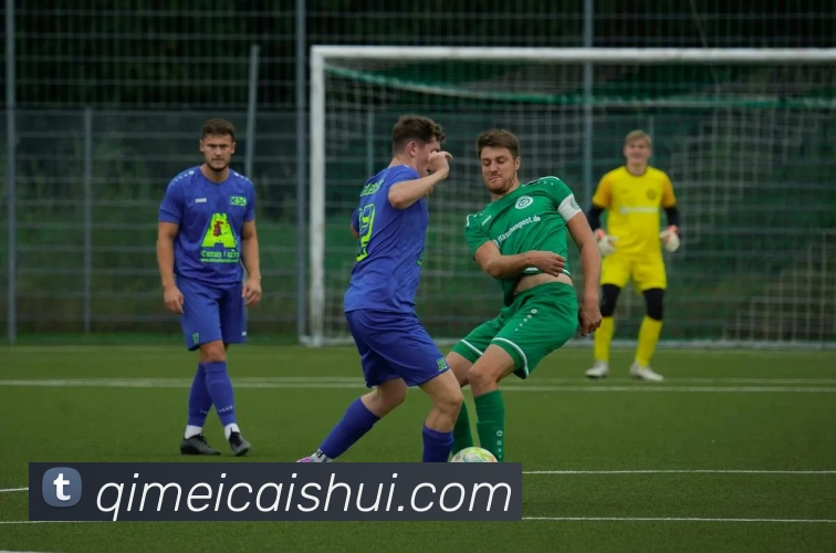 LEwin乐玩全站App